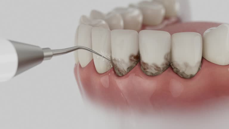 Reliable Dental contractor in Brielle, NJ by Dentist Open Now